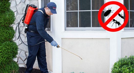 Sapanca Hamam Böceği İlaçlama böcek ilaçlama ve haşere kontrolü — ilaclama-tr.com